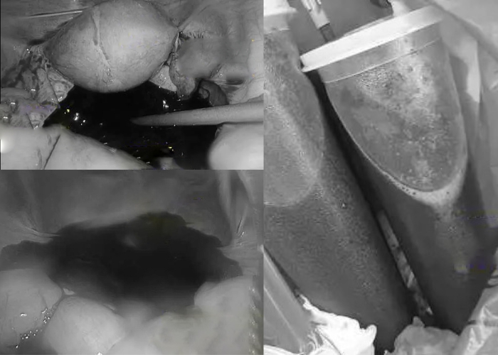 - Ảnh 2. - Ảnh 2.