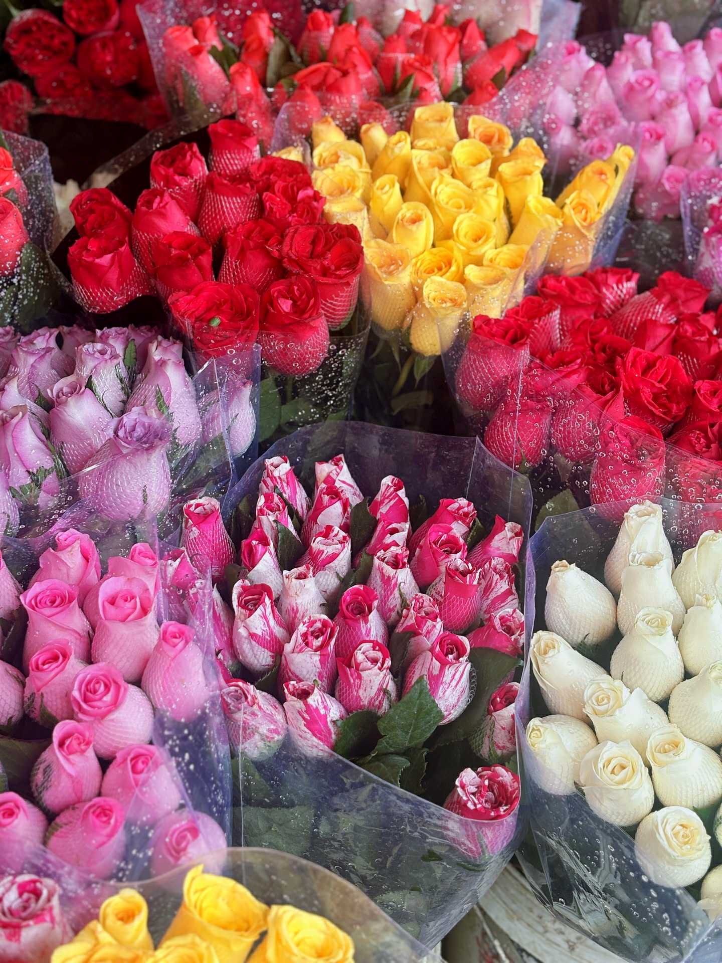 Cập nhật gi&aacute; cả hoa ng&agrave;y 28 Tết: Tuyết mai rẻ bất ngờ, c&uacute;c đẹp &ldquo;đỉnh cao&rdquo;, mộc lan trở th&agrave;nh hot trend - Ảnh 7.