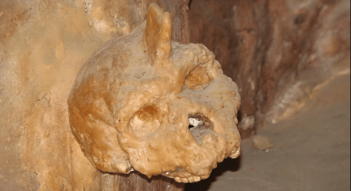 Lịch sử loài người có thể phải viết lại vì phát hiện của một người chăn cừu vào năm 1959- Ảnh 1.