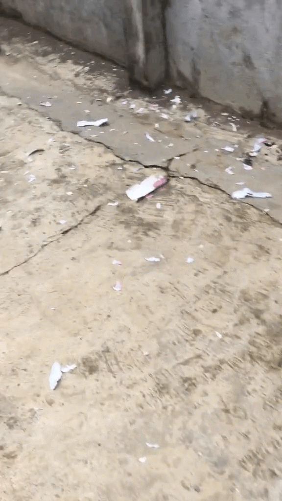 Cảnh tượng s&aacute;ng m&ugrave;ng 1 Tết tại gia đ&igrave;nh c&ocirc; g&aacute;i trẻ: Nhiều người t&ograve; m&ograve; v&igrave; sao - Ảnh 1.