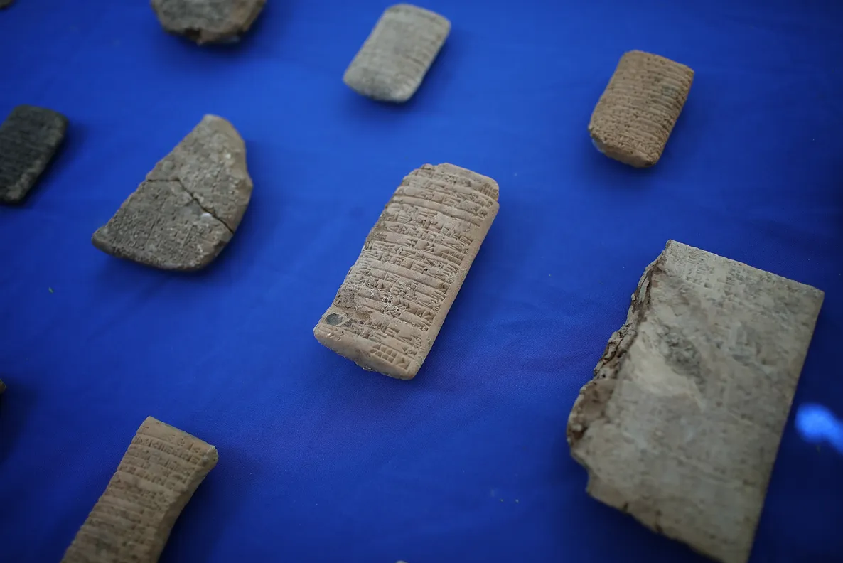 - Ảnh 1. - Ảnh 1.