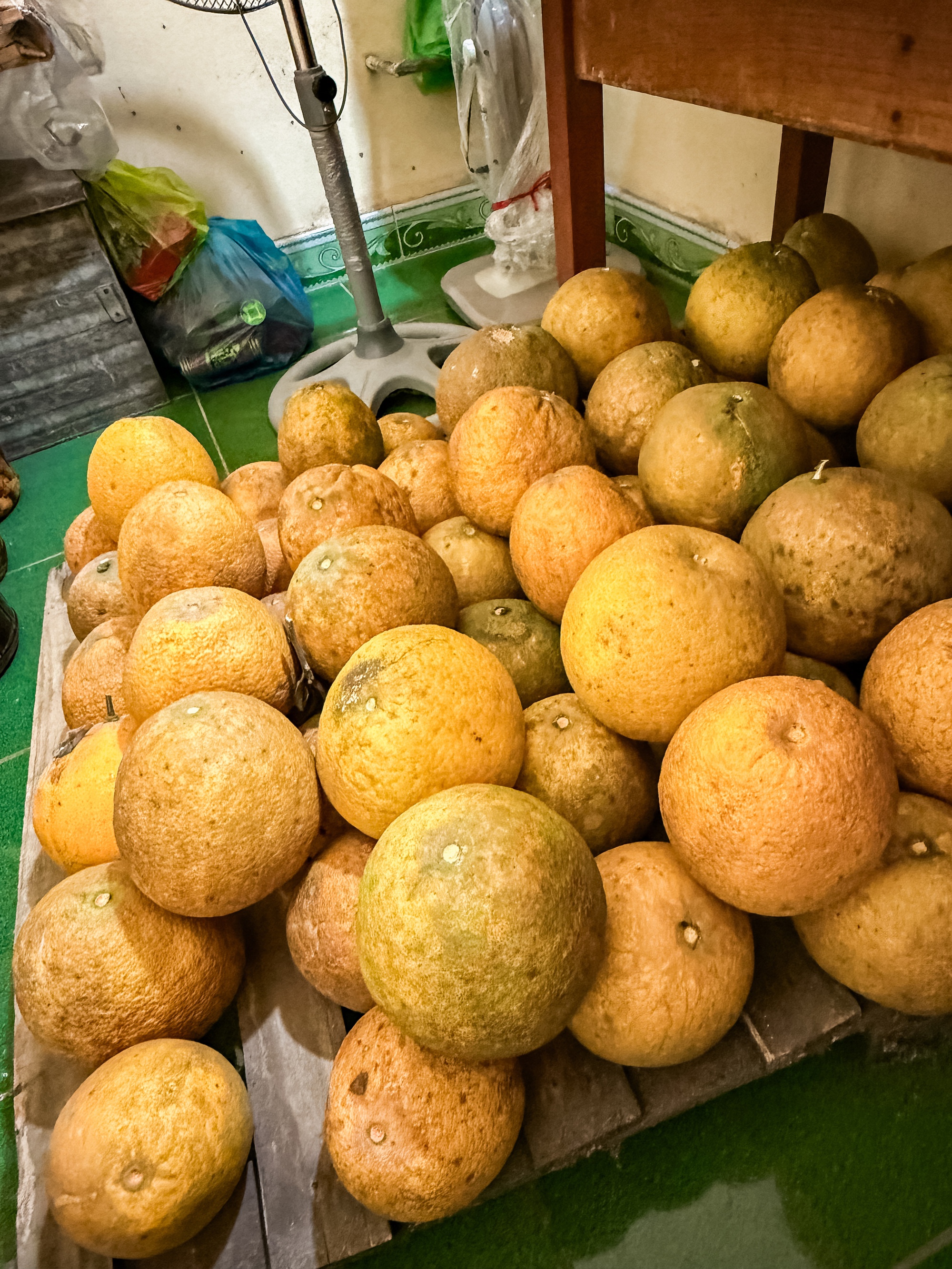 Cảnh tượng nh&igrave;n l&agrave; biết Tết miền Bắc - Ảnh 2.