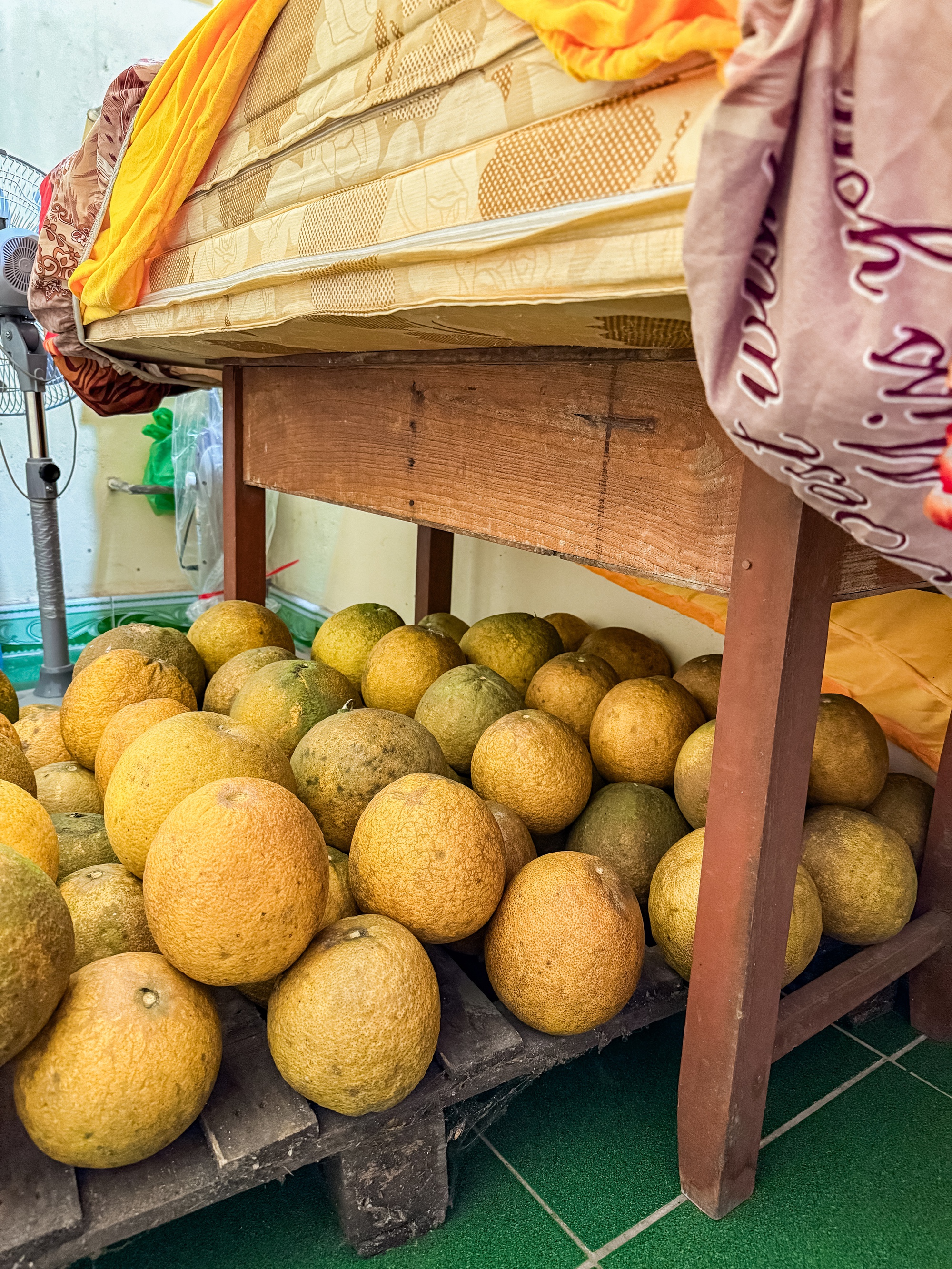 Cảnh tượng nh&igrave;n l&agrave; biết Tết miền Bắc - Ảnh 1.