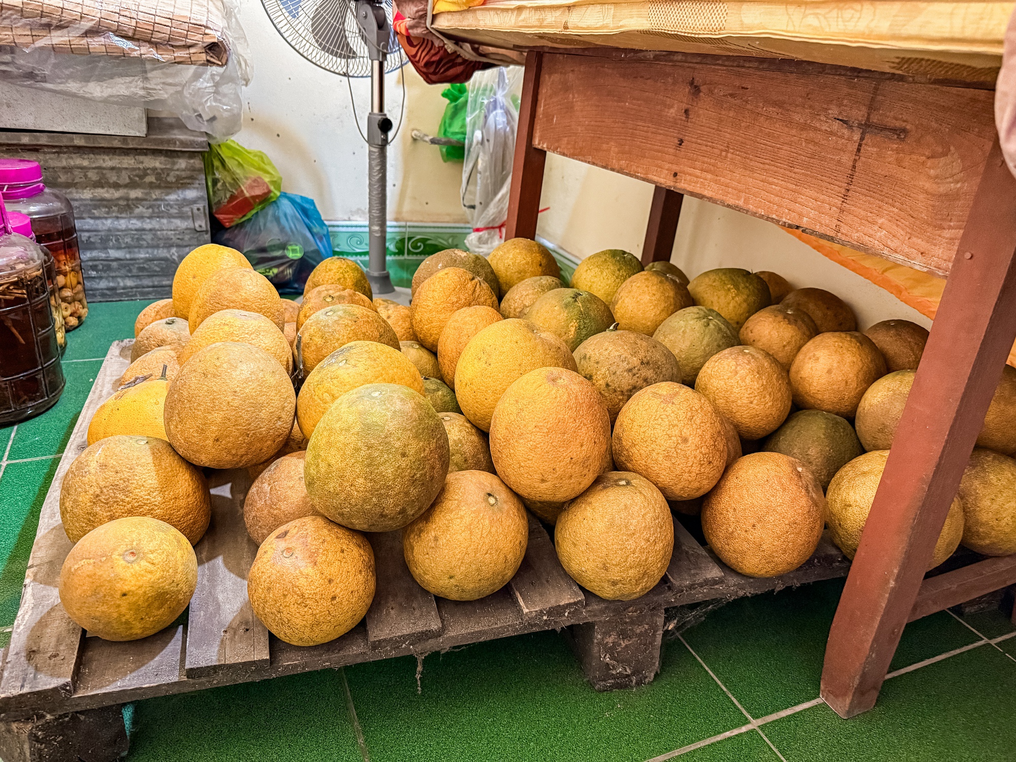 Cảnh tượng nh&igrave;n l&agrave; biết Tết miền Bắc - Ảnh 4.