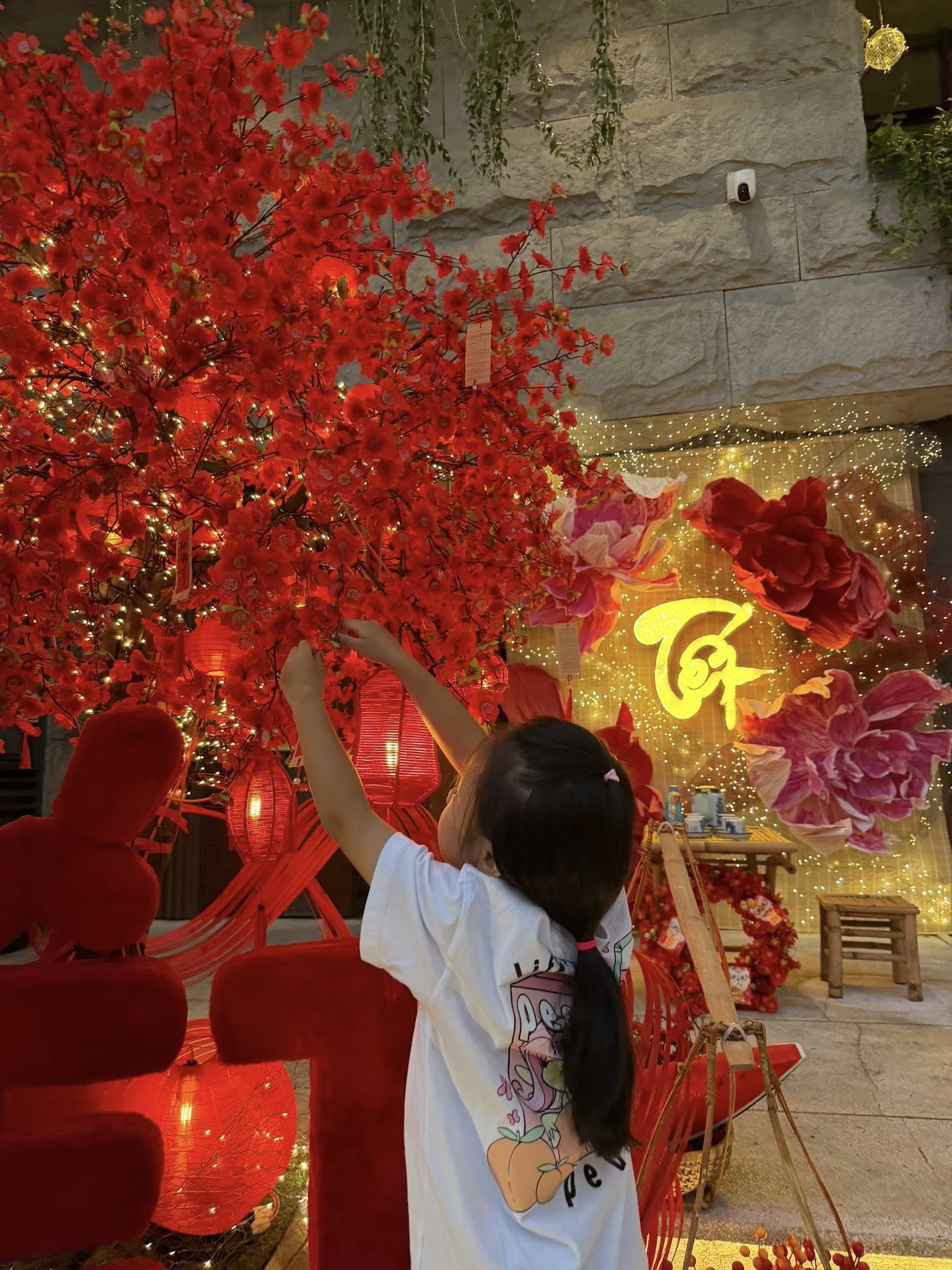 Vợ chồng Cường Đô La ăn Tết siêu hoành tráng- Ảnh 5.