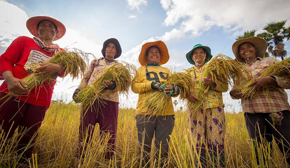 Một mặt h&agrave;ng 300.000 tấn của Campuchia nhận tin vui lớn từ Việt Nam