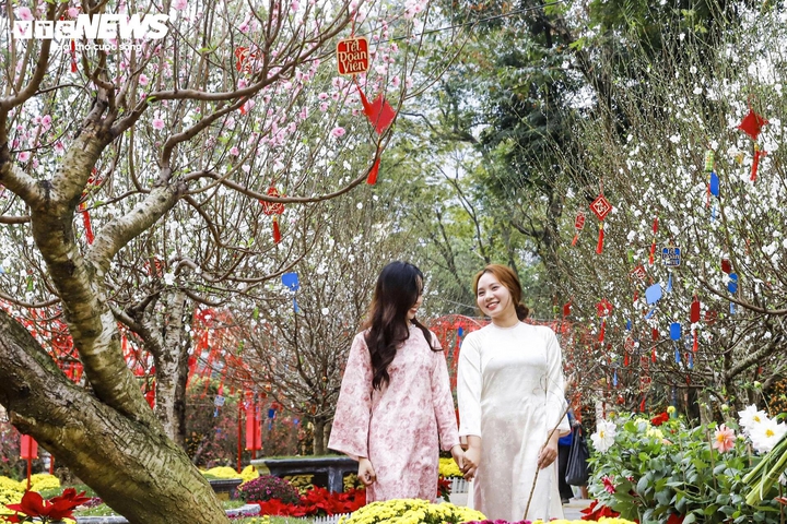 Trực tiếp: Việt Nam đ&oacute;n giao thừa, ch&agrave;o năm mới B&iacute;nh Ngọ 2026 - Ảnh 81.