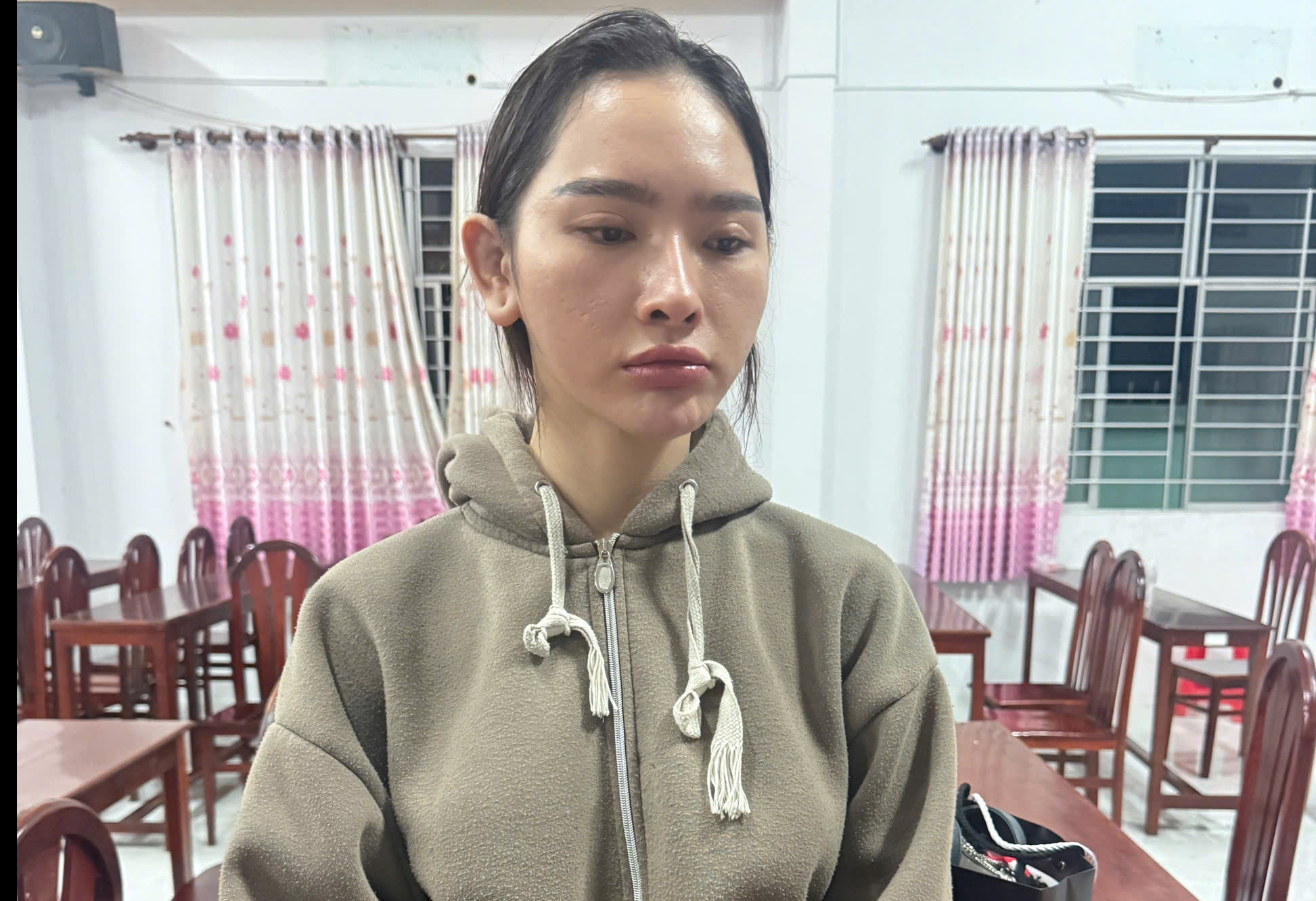 Bắt tạm giam cô gái trẻ Phạm Ngọc Mỹ Tiên - Ảnh 2.