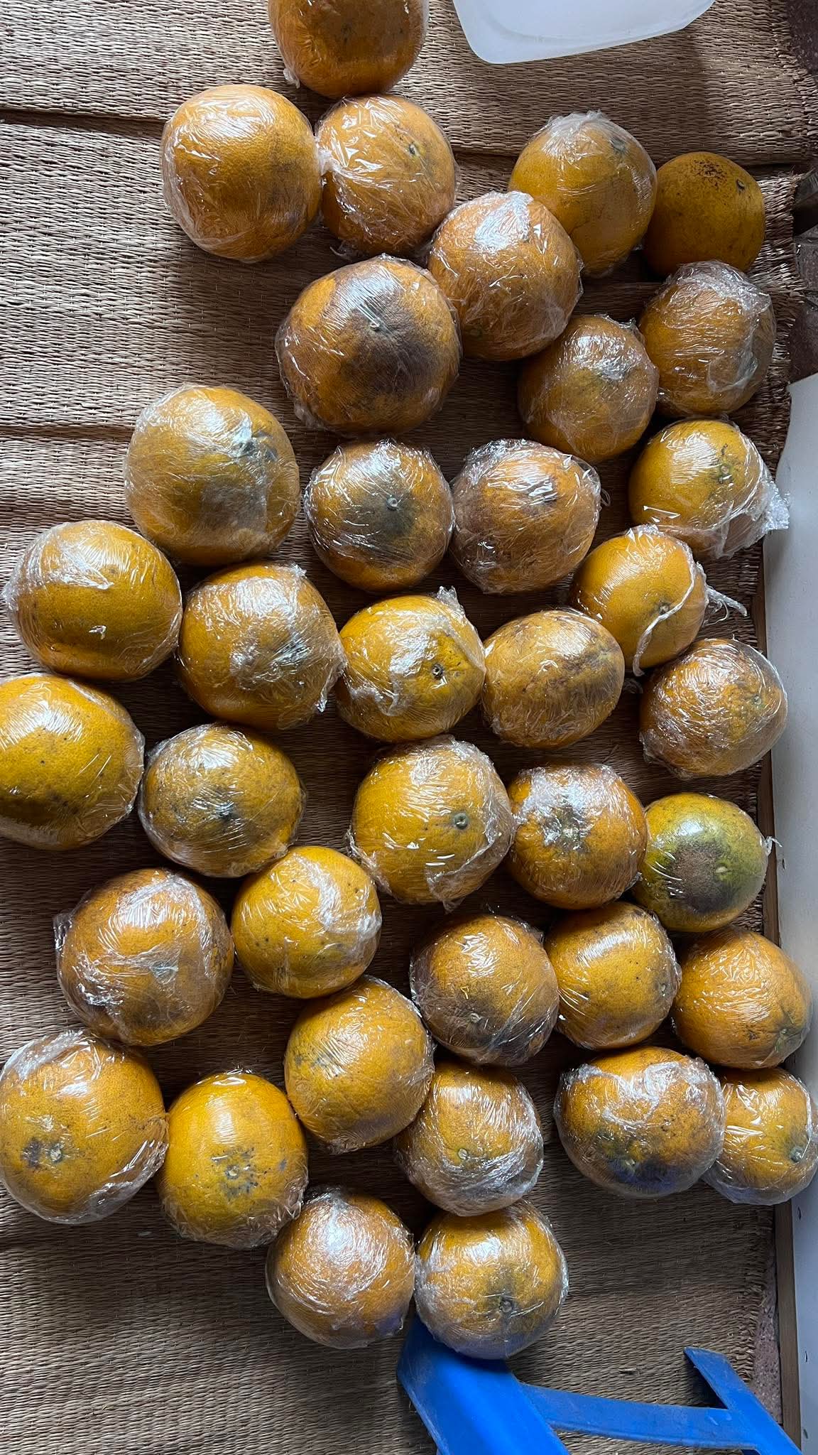 Cảnh tượng nh&igrave;n l&agrave; biết Tết miền Bắc - Ảnh 7.