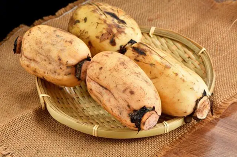 7 thực phẩm “càng ăn càng dễ giảm cân”: Vị trí số 1 có thể nằm ngay trong bữa cơm nhà bạn - Ảnh 3.