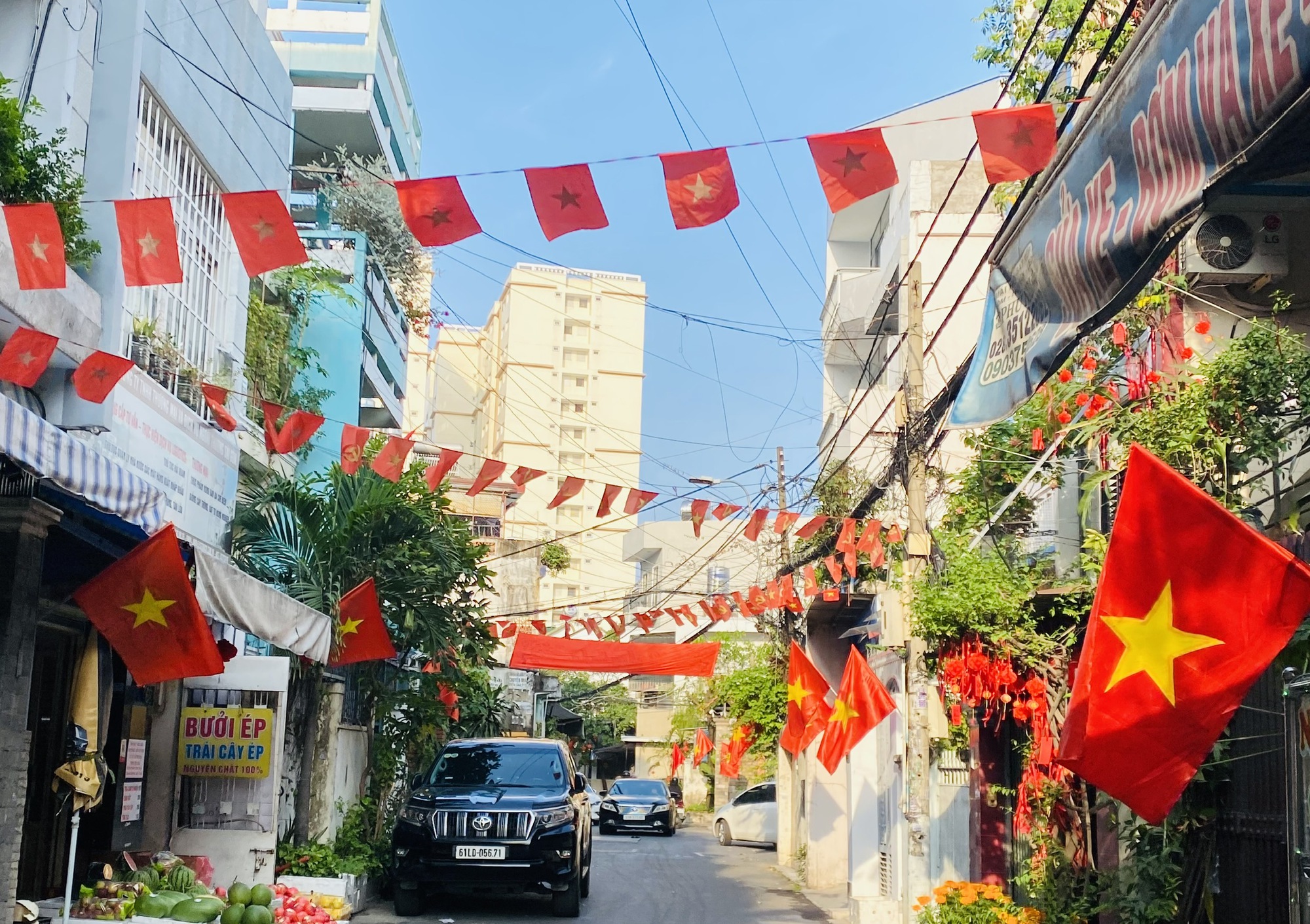 Mùa xuân đầu tiên của siêu đô thị TPHCM - Ảnh 8.