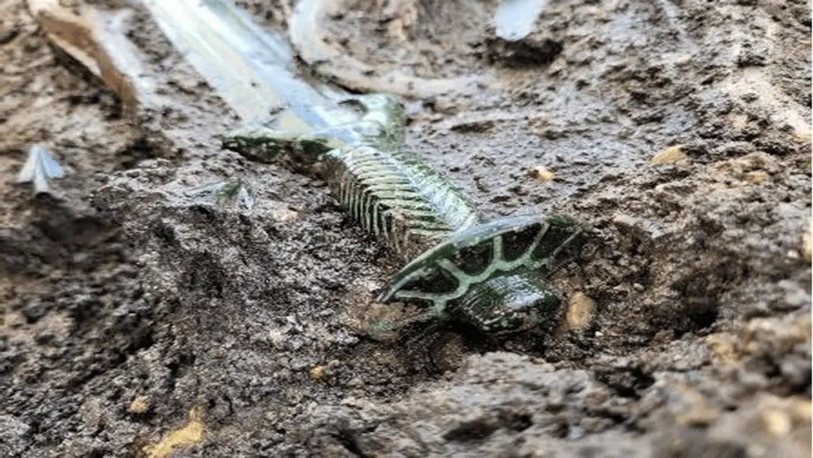 Thanh Kiem 8 Canh 3400 Nam Tuoi He Lo Bi Mat Doc Dao 1771211671979 17712116724741908837973