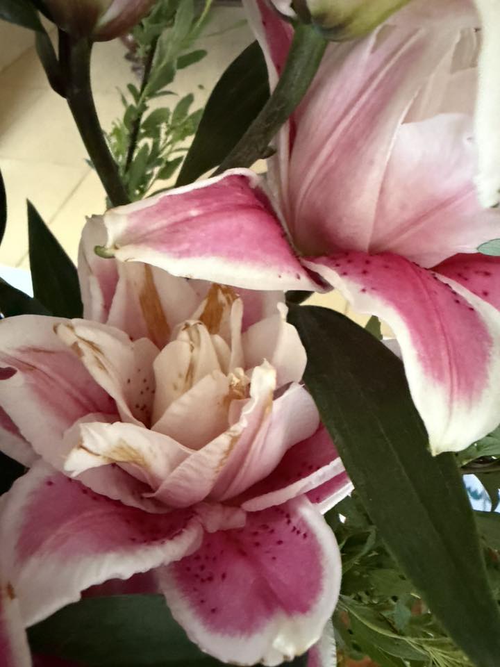 Kinh nghiệm chọn và cắm hoa ly kép ngày Tết không bị cháy cánh - Ảnh 6.