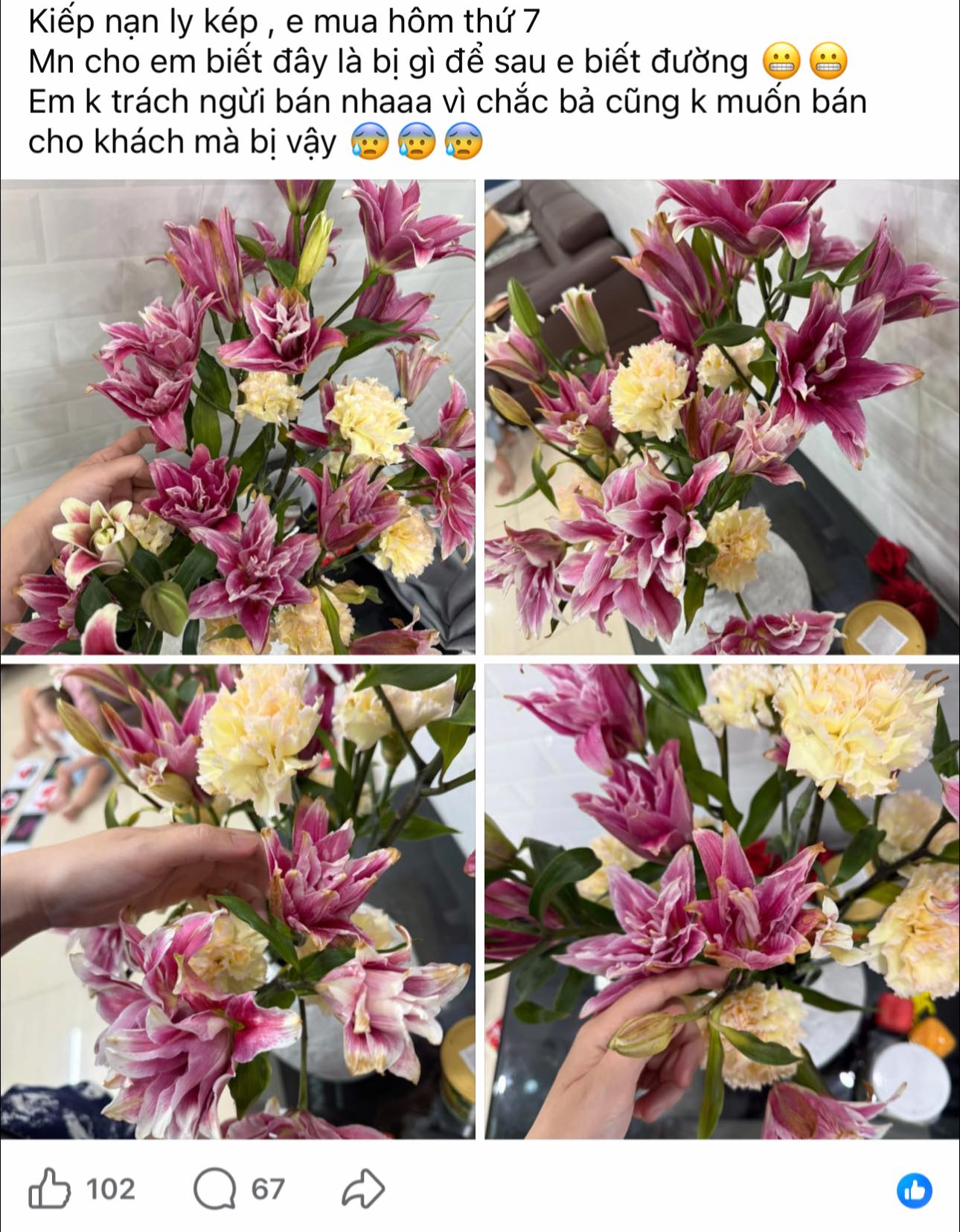 Kinh nghiệm chọn và cắm hoa ly kép ngày Tết không bị cháy cánh - Ảnh 2.