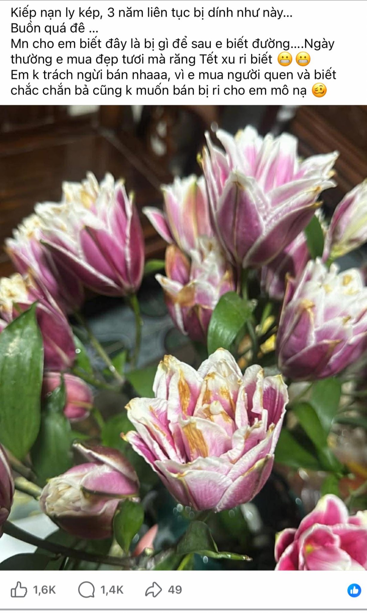 Kinh nghiệm chọn và cắm hoa ly kép ngày Tết không bị cháy cánh - Ảnh 3.