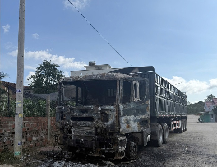 Xe đầu kéo bất ngờ cháy rụi sáng mùng 1 Tết, thiệt hại khoảng 500 triệu đồng - Ảnh 1.