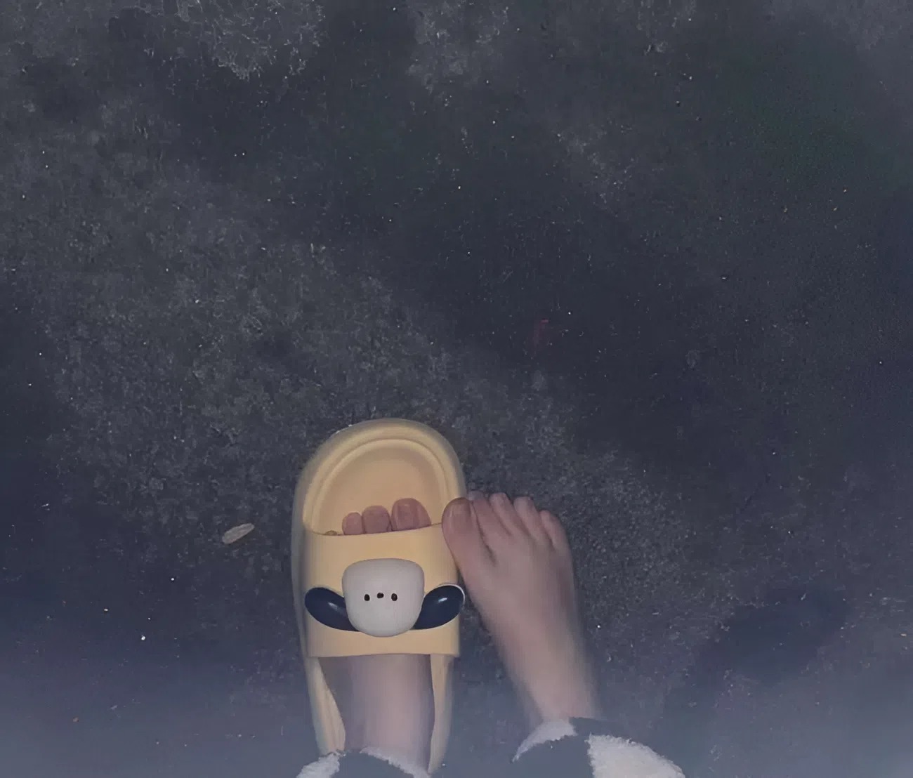 Nữ sinh năm cuối bị đuổi khỏi nh&agrave; ng&agrave;y Tết v&agrave; c&acirc;u chuyện bất c&ocirc;ng - Ảnh 1.