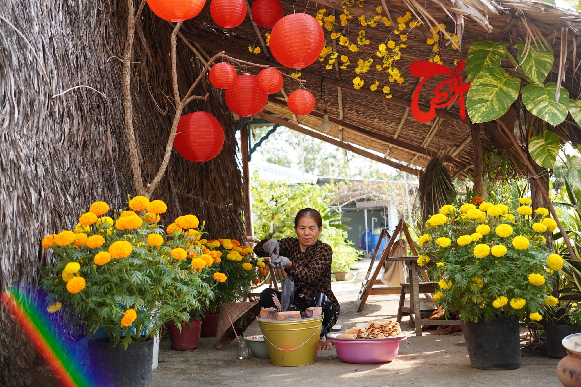 Mùng 1 Tết, ghé thăm căn nhà miền Tây với không khí đầu năm ngập sắc xuân: Hoa nở kín hiên, trái trĩu cành- Ảnh 12.