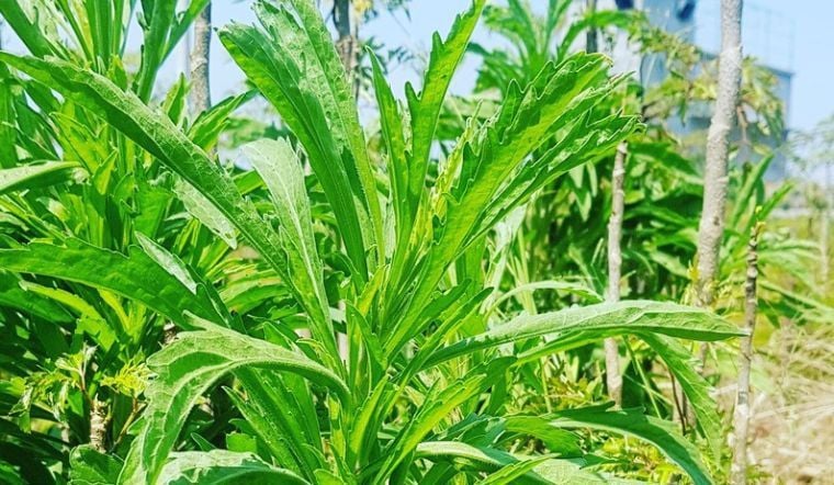 r2lkut 1771313108255 177131310859677842387