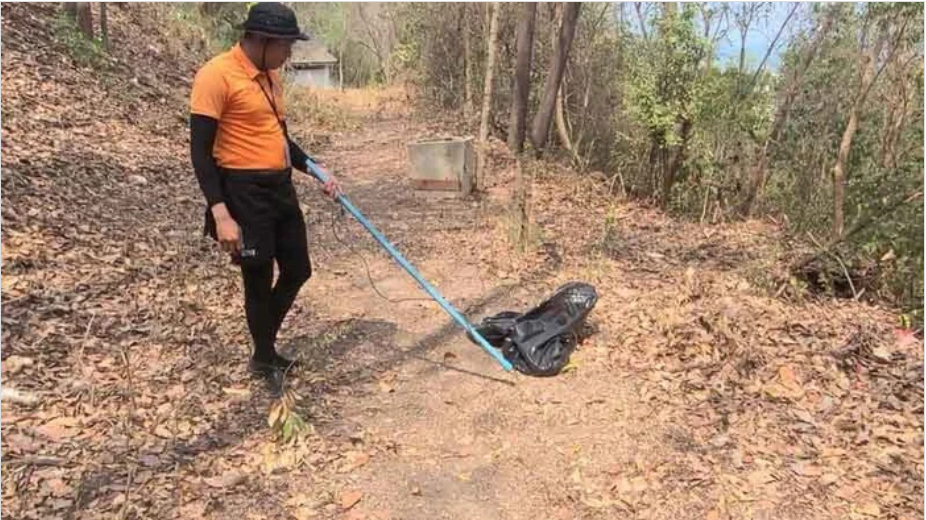 Sinh vật dài ngoằn bất ngờ trồi lên từ biển giữa bãi tắm đông nghịt, du khách hoảng loạn bỏ chạy - Ảnh 3.