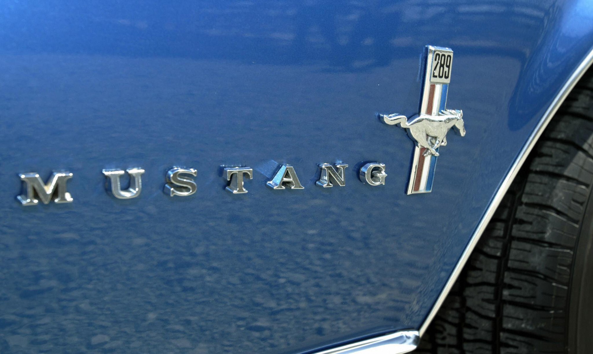 - Ảnh 3. - Ảnh 3.