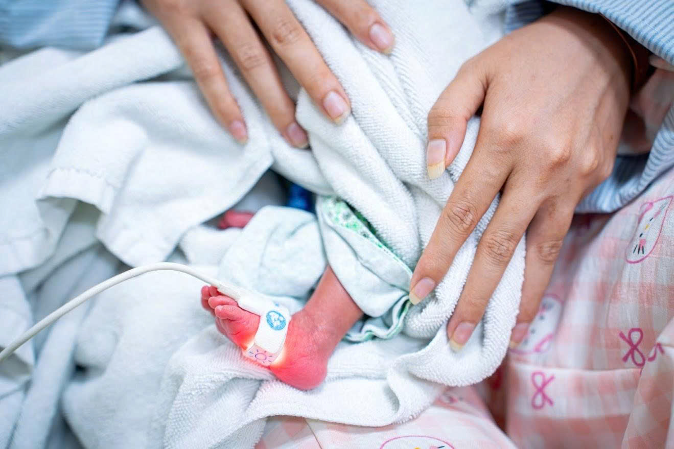 - Ảnh 2. - Ảnh 2.