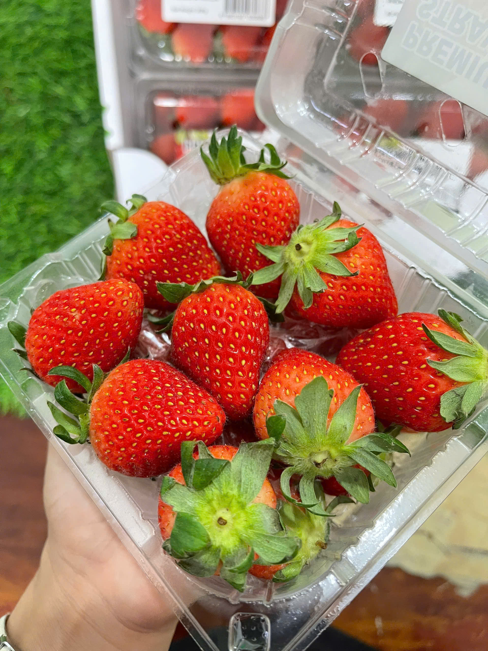 d1cafo 1771387119326 177138711998960564896