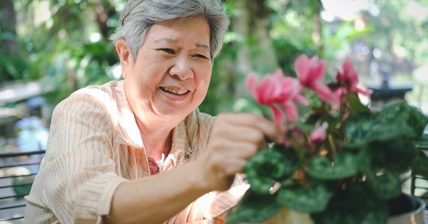 Nhiều người ngoài 60 vẫn hiểu nhầm: Tập thể dục không là tất cả 20 avatar1709016503787 17090165040431005659433 1771252210906 17712522130221190234198 1771471607191 1771471607937749247667