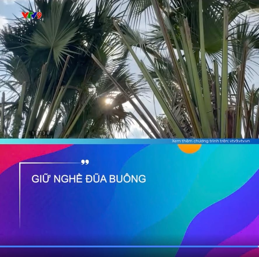 Đũa Bu&ocirc;ng: Loại đũa đang "hot" rần rần v&igrave; độ qu&yacute; v&agrave; độ bền hiếm c&oacute; - Ảnh 1.