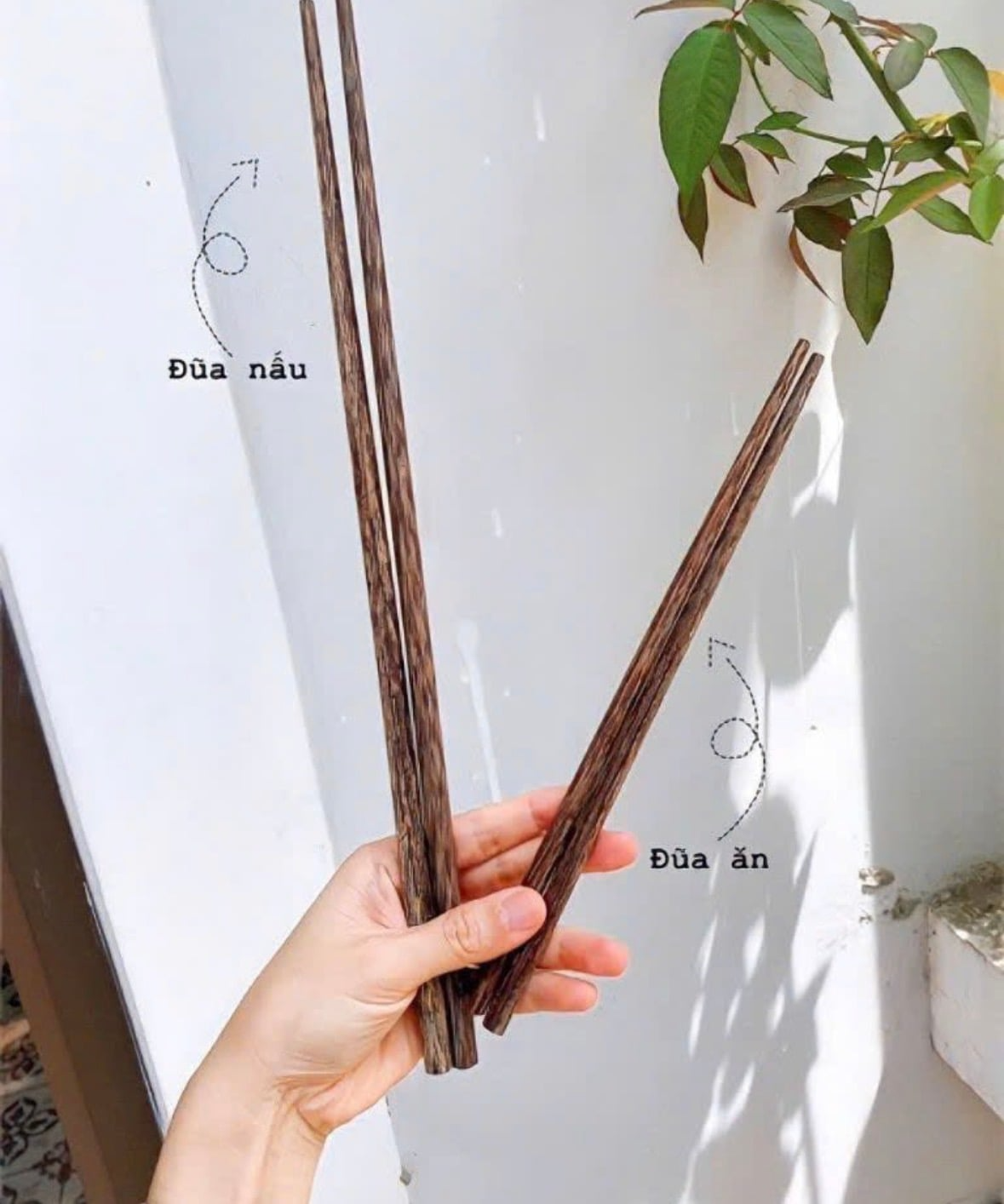 Đũa Bu&ocirc;ng: Loại đũa đang "hot" rần rần v&igrave; độ qu&yacute; v&agrave; độ bền hiếm c&oacute; - Ảnh 4.