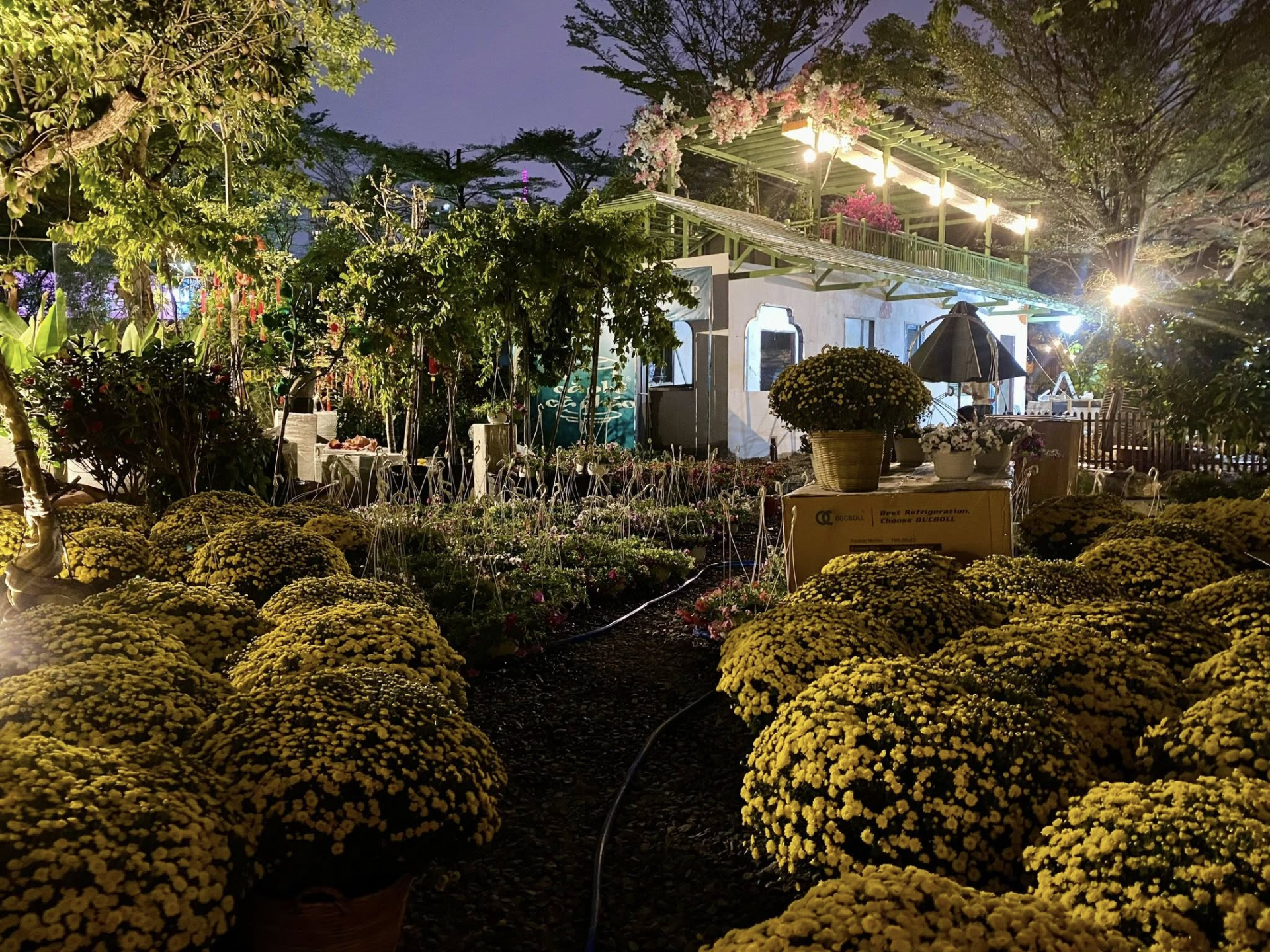 Cận cảnh nơi b&aacute;n cafe của "&ocirc;ng ho&agrave;ng nhạc Việt" đ&igrave;nh đ&aacute;m một thời ở tuổi 55 - Ảnh 3.