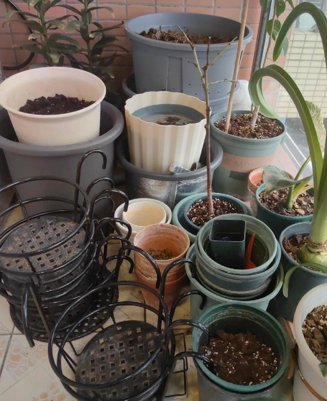 Nh&agrave; c&agrave;ng sạch, phước c&agrave;ng nhiều: D&ugrave; ở nh&agrave; rộng hay chật, 9 thứ n&agrave;y c&agrave;ng t&iacute;ch trữ c&agrave;ng hao lộc- Ảnh 6.