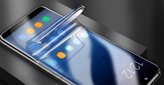 - Ảnh 2. - Ảnh 2.