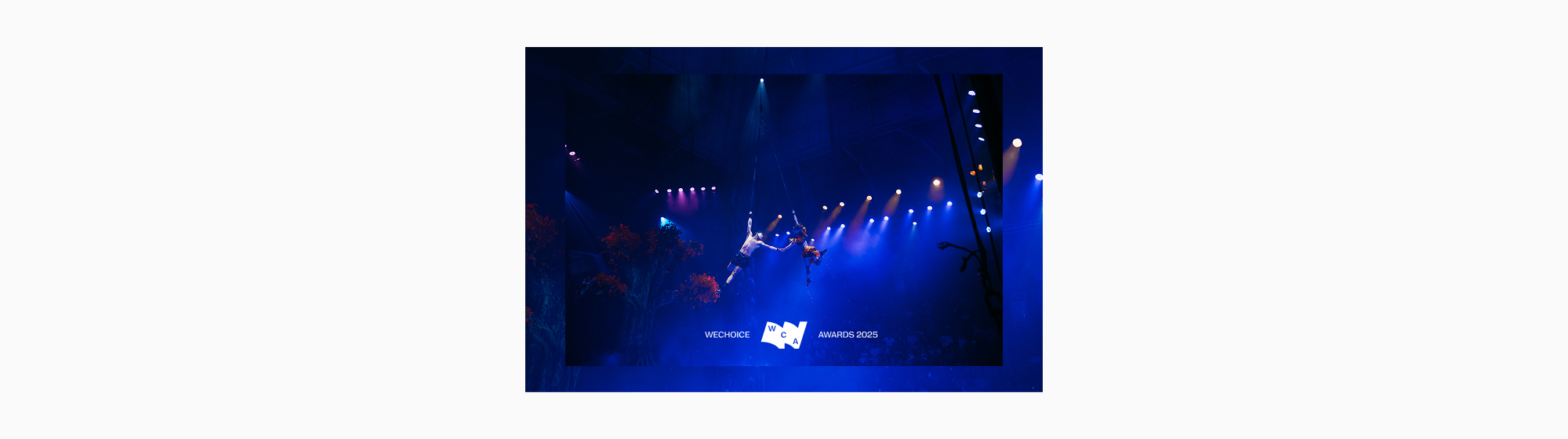 Đoàn xiếc “Vùng Đất Kỳ Bí”: Cú lội ngược dòng đập tan định kiến, vẽ lại giấc mơ rực rỡ cho Xiếc Việt- Ảnh 8. Đoàn xiếc “Vùng Đất Kỳ Bí”: Cú lội ngược dòng đập tan định kiến, vẽ lại giấc mơ rực rỡ cho Xiếc Việt- Ảnh 8.