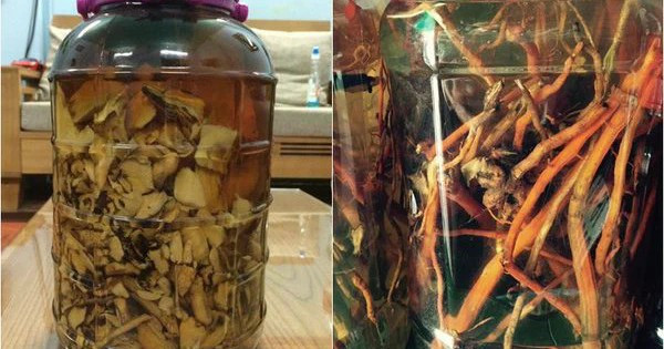 Hai Người Tử Vong Sau Khi Uống Rượu Ngâm, Bộ Y Tế Chỉ Đạo Khẩn Hai Người Tử Vong Sau Khi Uống Rượu Ngâm, Bộ Y Tế Chỉ Đạo Khẩn - Ảnh 1.