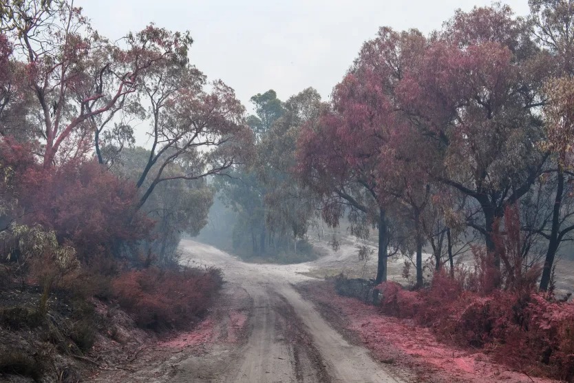Trong khi nhiều nước co ro v&igrave; lạnh, 1 quốc gia hứng chịu nắng n&oacute;ng 50&deg;C: &ldquo;Trời n&oacute;ng khủng khiếp!&rdquo; - Ảnh 1.