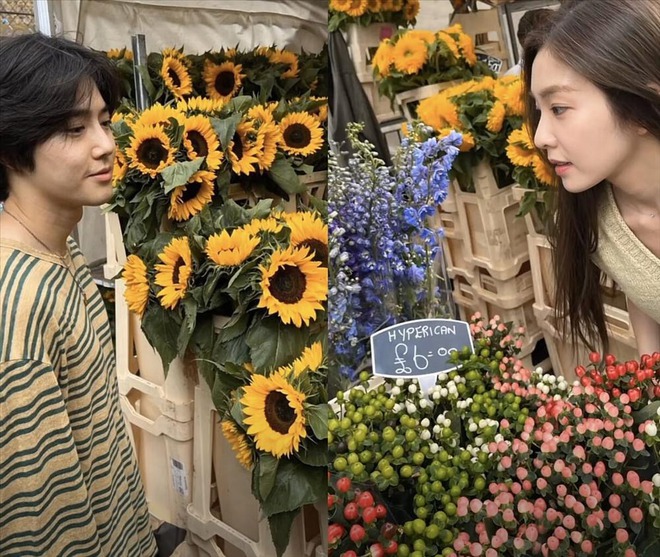 - Ảnh 5. - Ảnh 5.