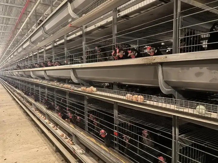 Vì Sao Công Nghệ Càng Tối Tân, Con Người Càng Cảm Thấy Kiệt Quệ? Vì Sao Công Nghệ Càng Tối Tân, Con Người Càng Cảm Thấy Kiệt Quệ? - Ảnh 1.