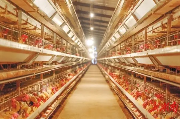 Vì Sao Công Nghệ Càng Tối Tân, Con Người Càng Cảm Thấy Kiệt Quệ? Vì Sao Công Nghệ Càng Tối Tân, Con Người Càng Cảm Thấy Kiệt Quệ? - Ảnh 2.