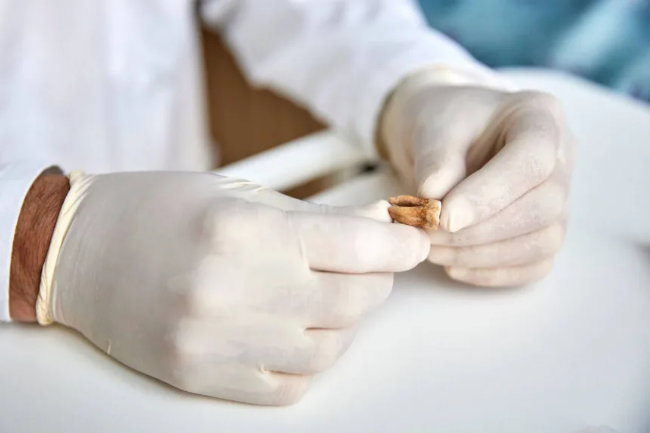 Giải m&atilde; b&iacute; ẩn từ gi&aacute;o sĩ phơi kh&ocirc; đến đạo qu&acirc;n của Napoleon năm 2026 - Ảnh 3.