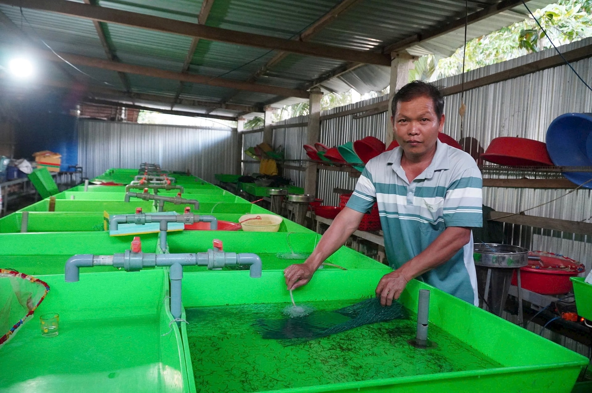 Thầy giáo dạy Sinh thu 2 tỷ đồng/năm từ bầy "quái vật" không vảy trong bóng tối - Ảnh 1.