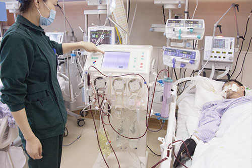 img6567 064226 1771723844842 17717238450161943049283