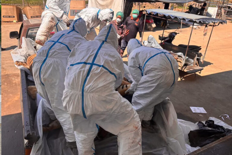 72 con hổ chết tại Th&aacute;i Lan, 108 người tiếp x&uacute;c được theo d&otilde;i sức khỏe - Ảnh 2.