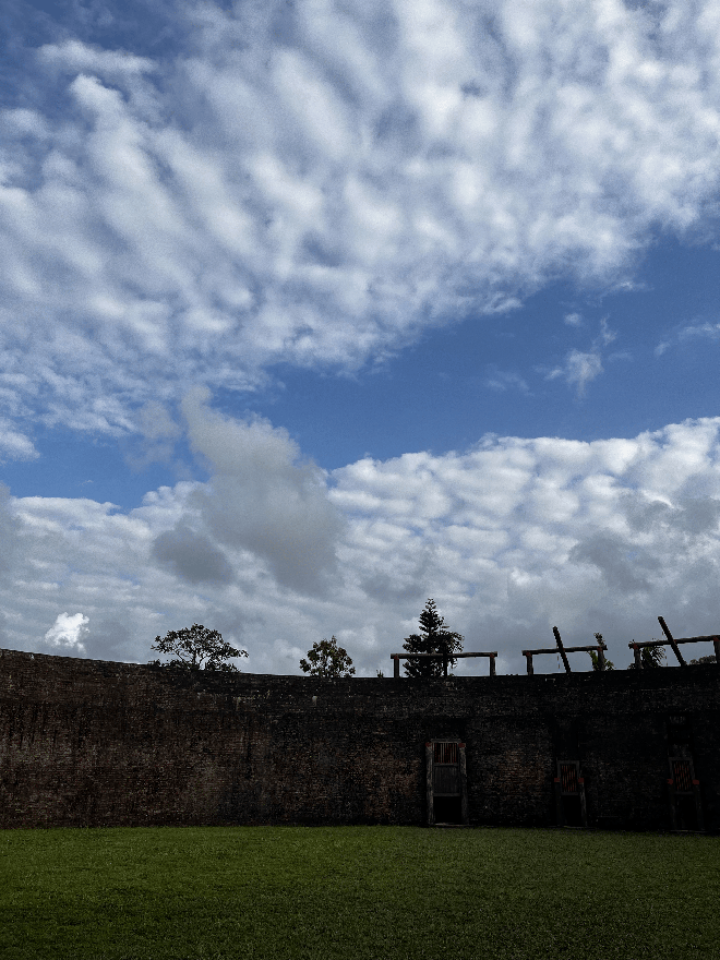 Mùng 7 đi làm trở lại nhưng mùng 10 vẫn ôm laptop và