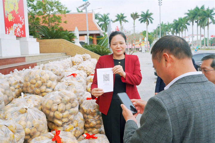 Lãnh đạo xã Vũ Thư livestream bán khoai tây giúp bà con nông dân Hưng Yên - Ảnh 1.