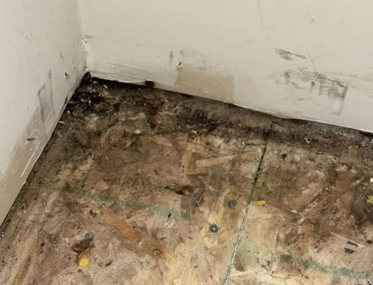 Bỏ 10 tỷ mua nh&agrave;, dọn v&agrave;o ở được v&agrave;i th&aacute;ng, người phụ nữ mắc phải căn bệnh lạ khiến cơ thể biến dạng - Ảnh 2.