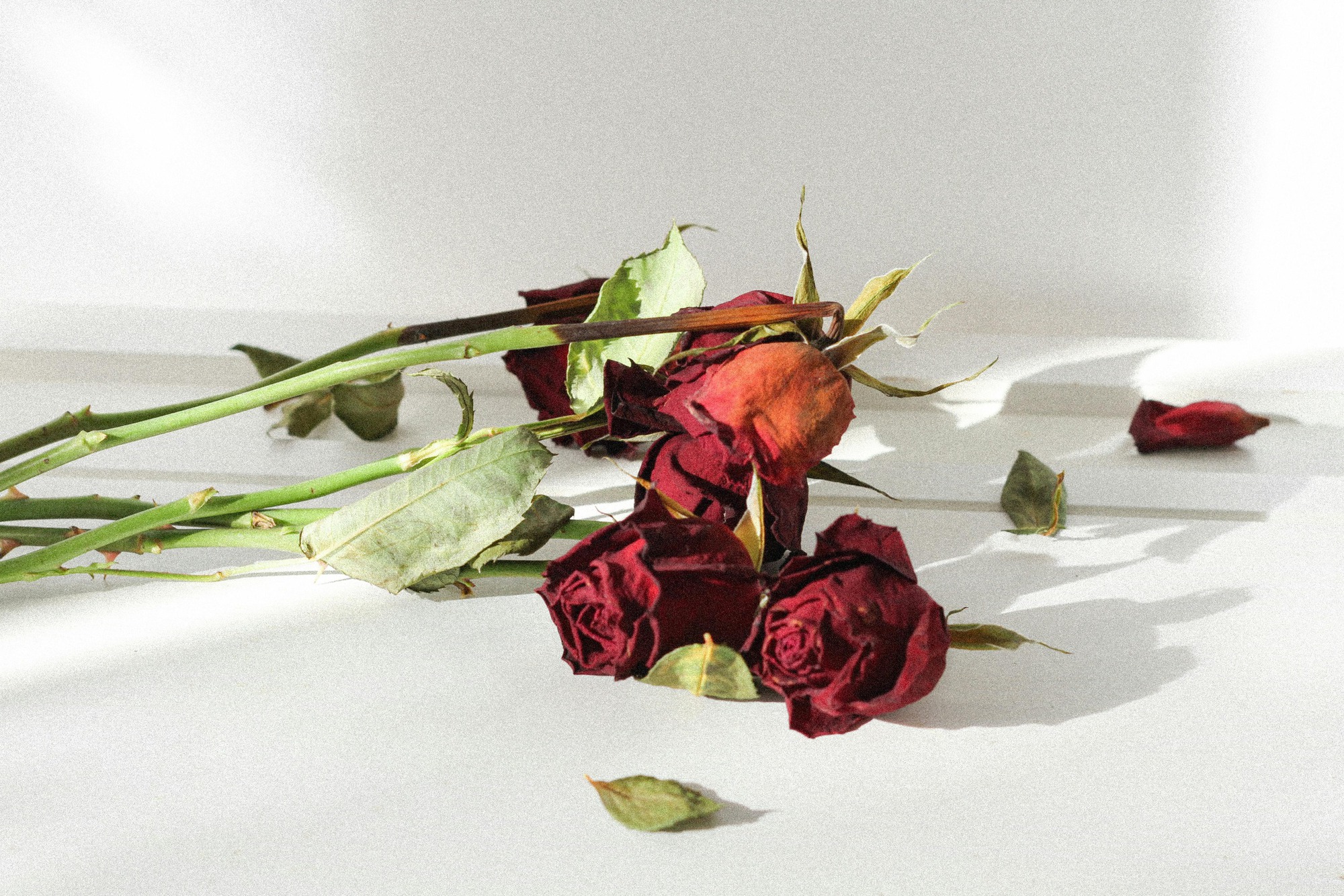 Qua m&ugrave;ng 7 Tết: 3 thứ tr&ecirc;n b&agrave;n thờ n&ecirc;n thay ngay kẻo bề tr&ecirc;n giận dữ, dễ xui cả năm  - Ảnh 1.