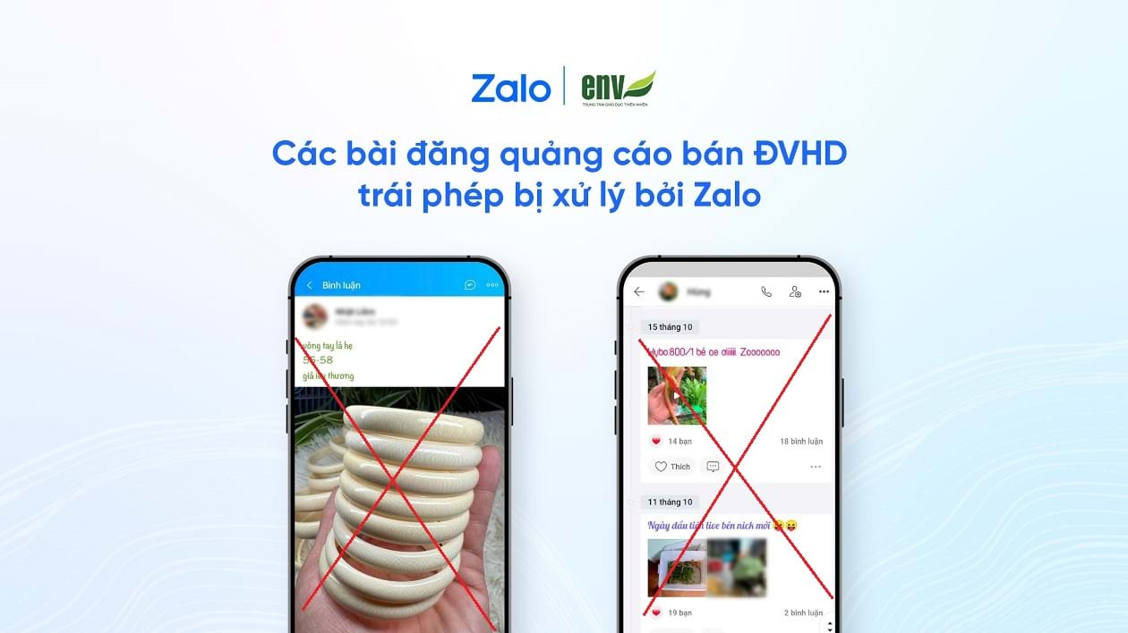 Bức ảnh c&oacute; thể khiến t&agrave;i khoản Zalo bị kh&oacute;a vĩnh viễn v&agrave; c&aacute;ch b&aacute;o xấu hiệu quả - Ảnh 2.