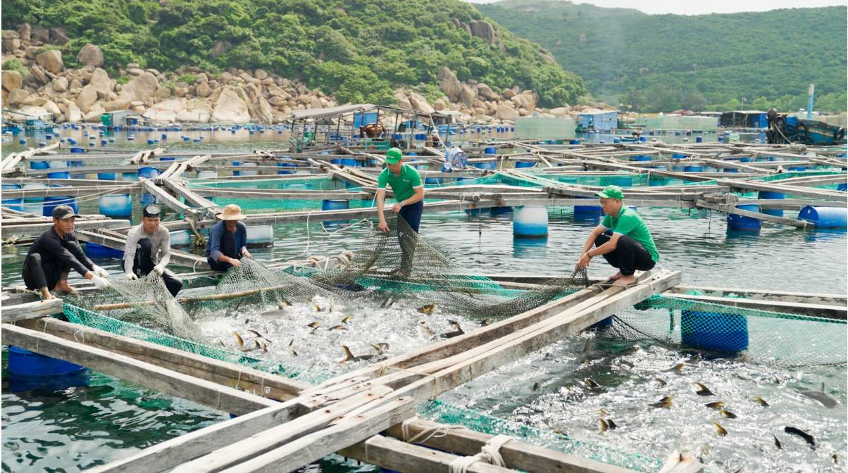 KLC Group &ldquo;Viết tiếp c&acirc;u chuyện Việt Nam&rdquo; với kh&aacute;t vọng đưa thủy hải sản Việt ra b&agrave;n ăn thế giới- Ảnh 3.