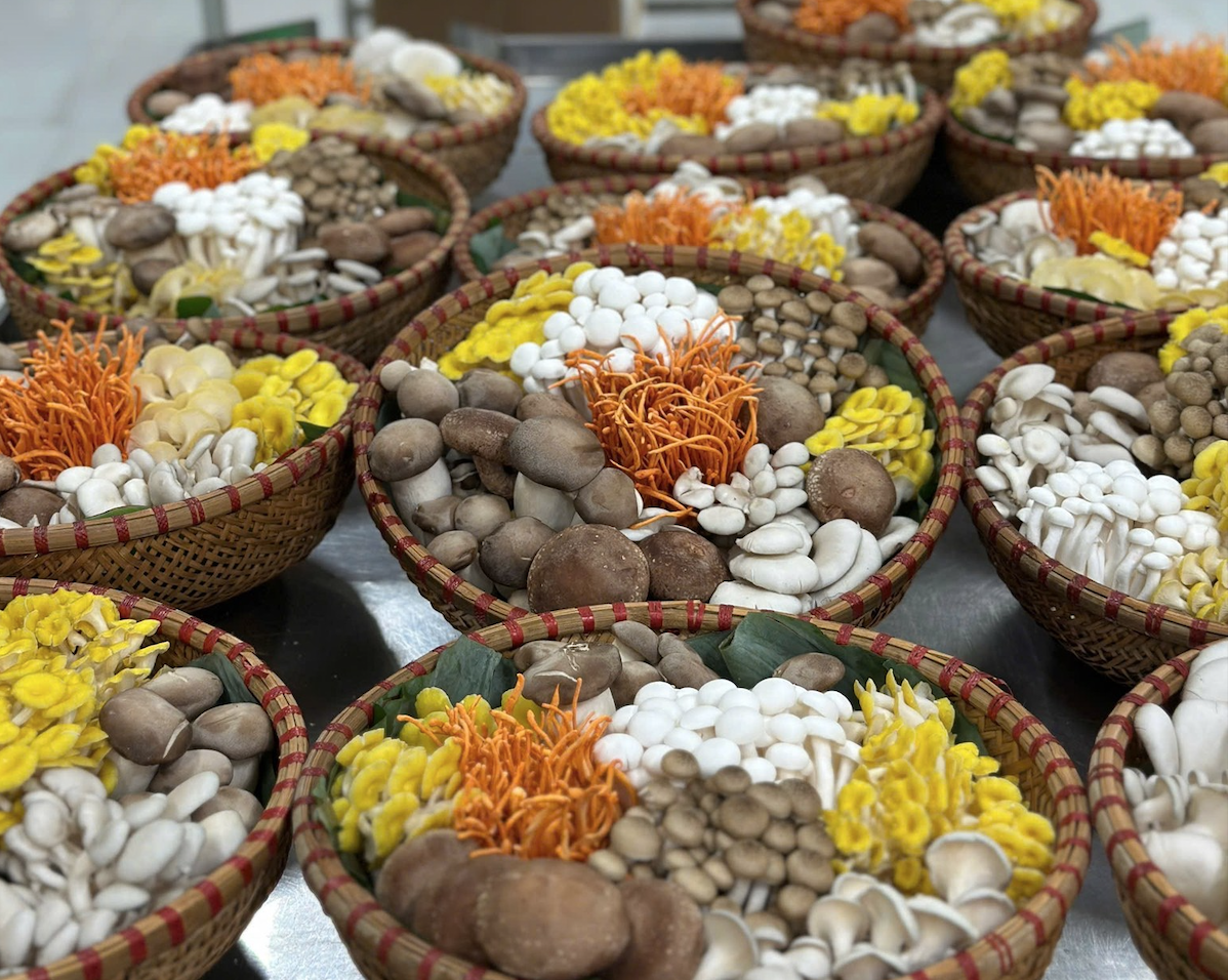 - Ảnh 1. - Ảnh 1.